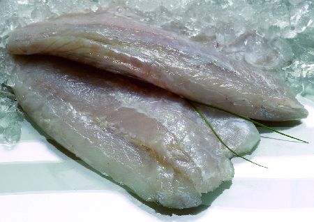 SALTWATER BARRAMUNDI FILLETS 200/300 -  5KG