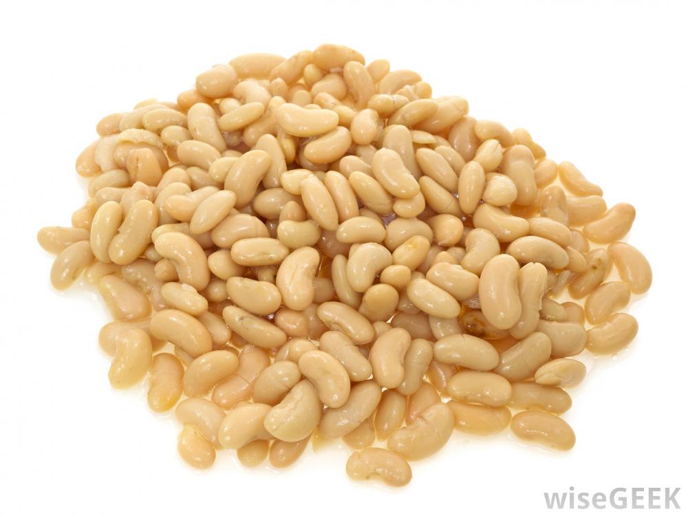 CANNELLINI BEANS 2550GM