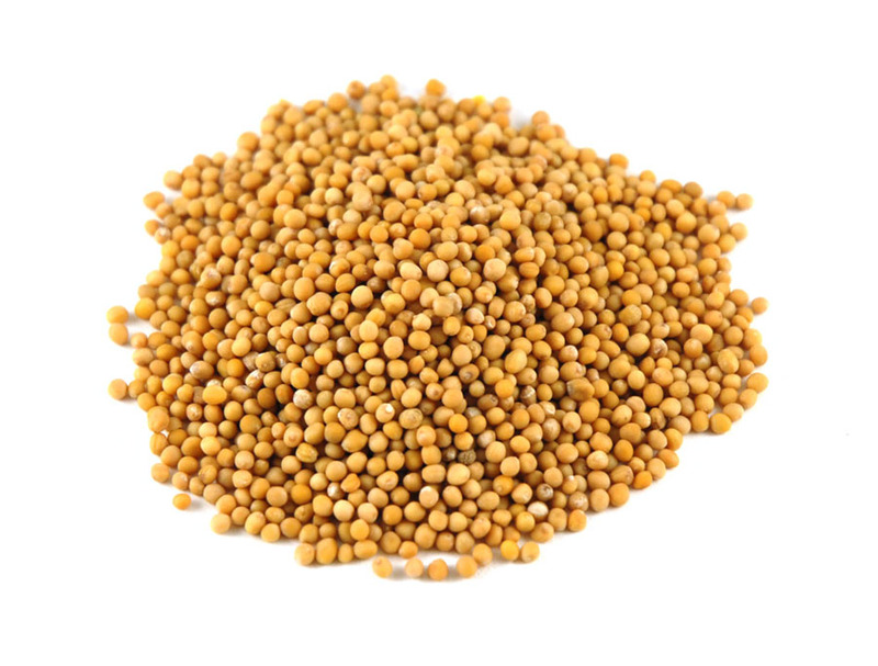 YELLOW MUSTARD SEEDS 500GM