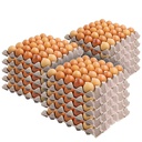 Eggpro Barn Laid Eggs X LARGE 700gm - 15 Dozen