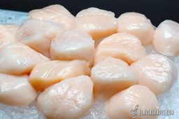 [SCAL/ROEOF-20/30] IQF ROE-OFF SCALLOPS 20/30 1KG